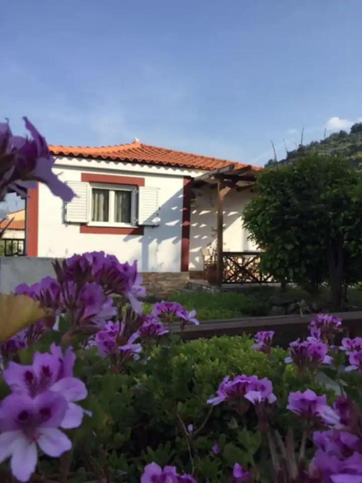 Christina Apartment Ágios Konstantínos Екстериор снимка